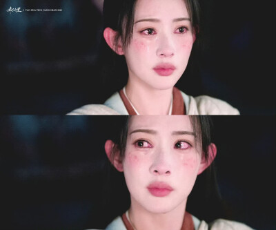 《桃花映江山》孟子义x姜桃花