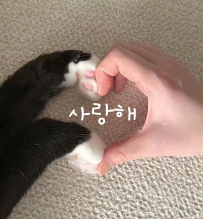 有点杂