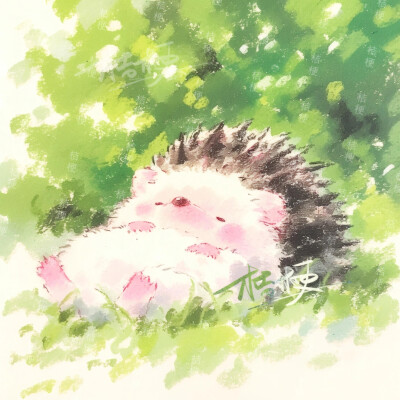 可爱