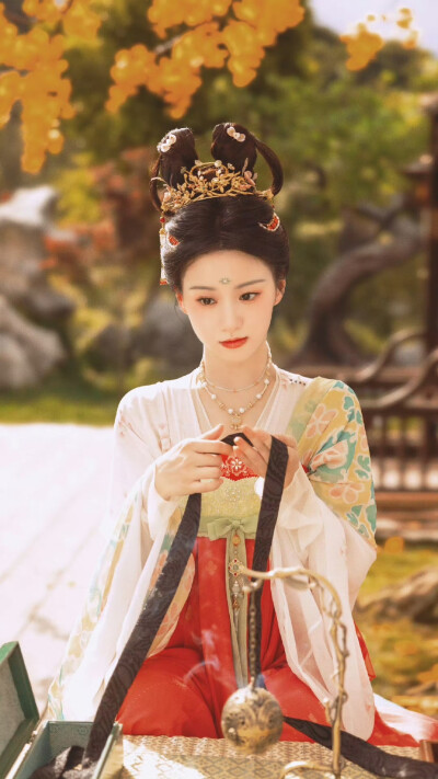 韶华若锦