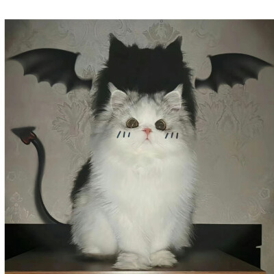 头像，来源网图