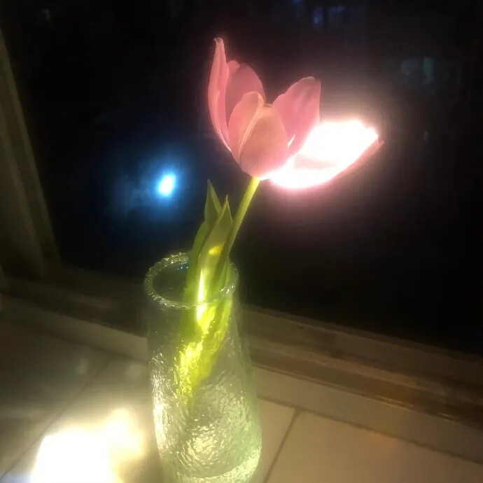 背景