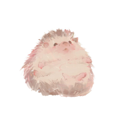 可爱