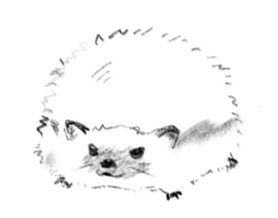 可爱