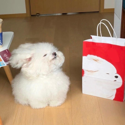 可爱