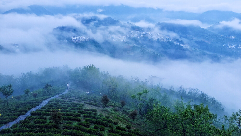 晨雾抓拍：歙县坡山风景区龙顶观景台