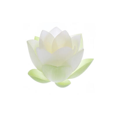 绿色系白底头像