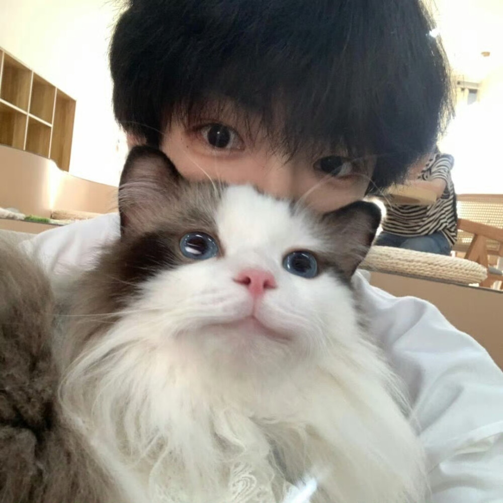 在喜欢的状态里生活ᐡ• ·̫ •̥ᐡᰔᩚ