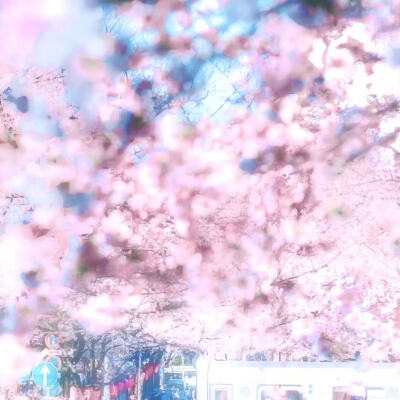 古山上 诞生沾满雪的花蕊
