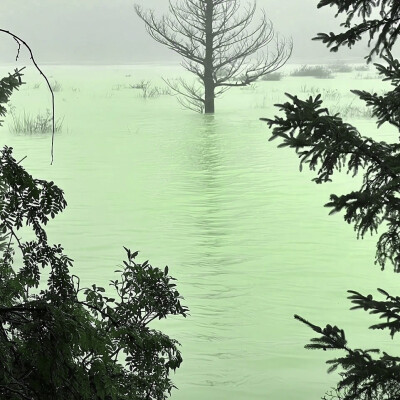 水晶葡萄