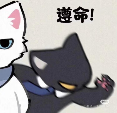 头像，来源网图