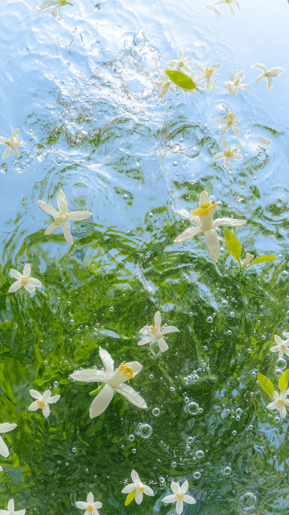 壁纸 