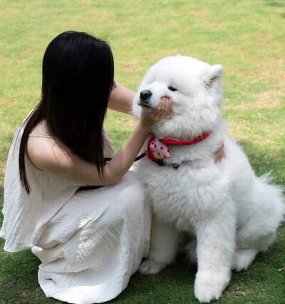 抱狗女头