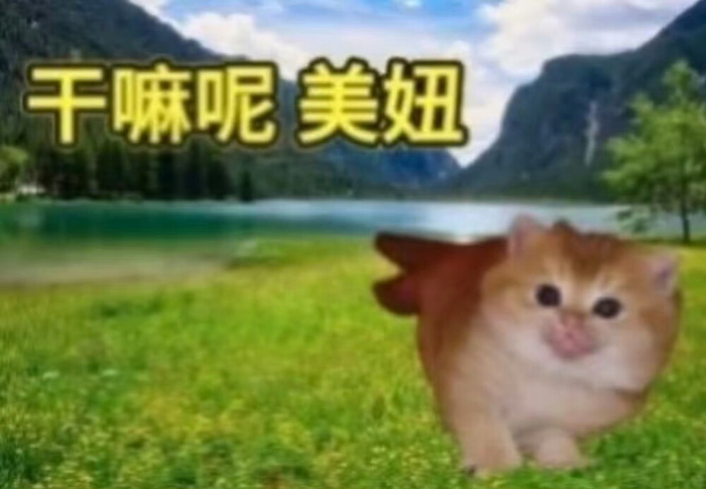 小渡来送图了 先到先得 谁先要 我就先给谁
一个人只给一组 13福利都可以参加(评论区说
晚上8点开抽 想跟小渡深交的也可以来了