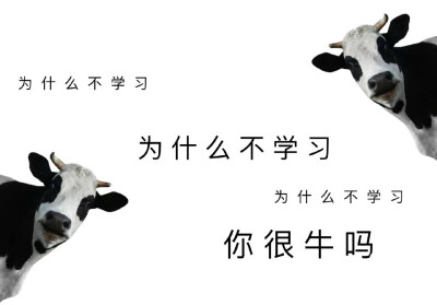 励志壁纸