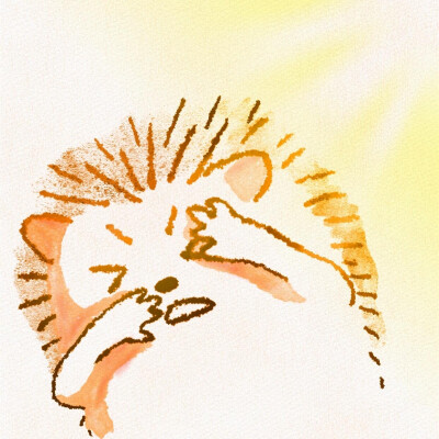 可爱