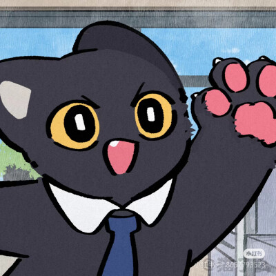 头像，来源网图