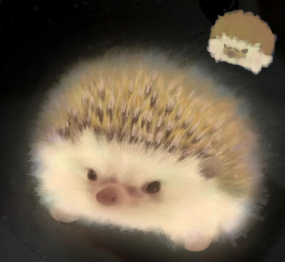 可爱
