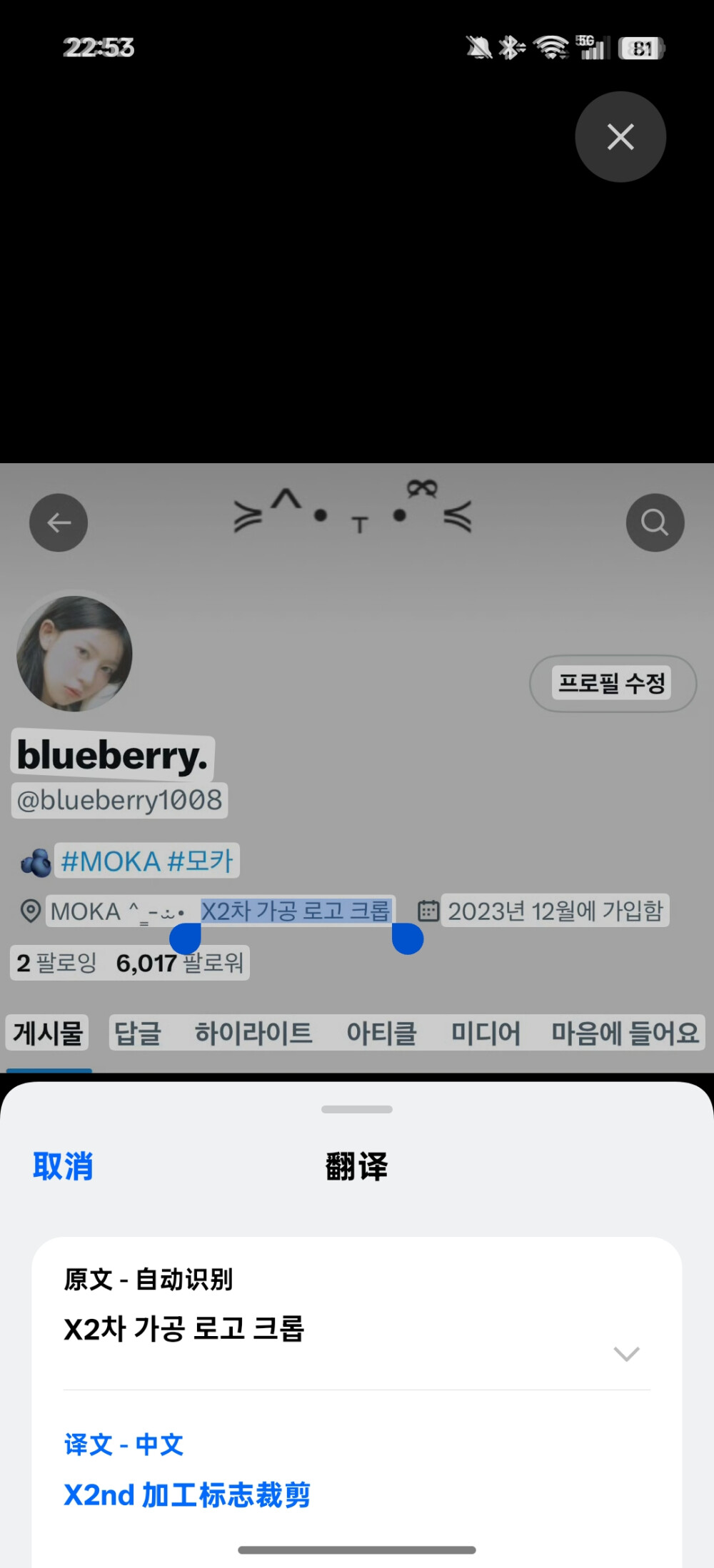 【镜萌花】blueberry1008 禁