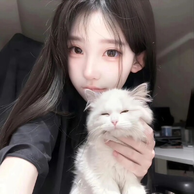 Doll