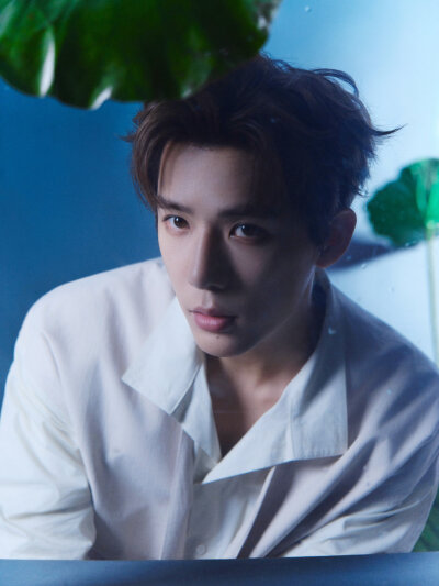 王安宇
