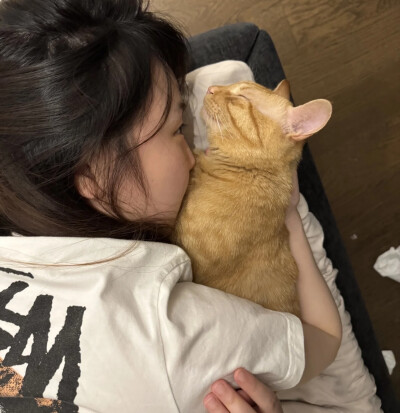 dt林宇婧