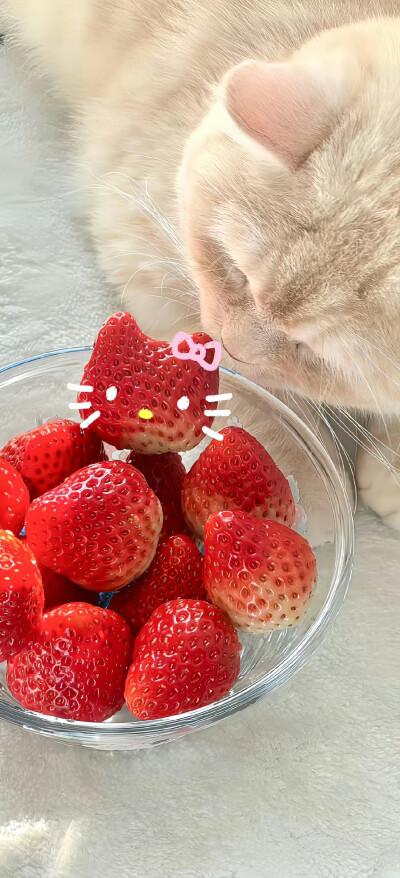 Hello Kitty壁纸