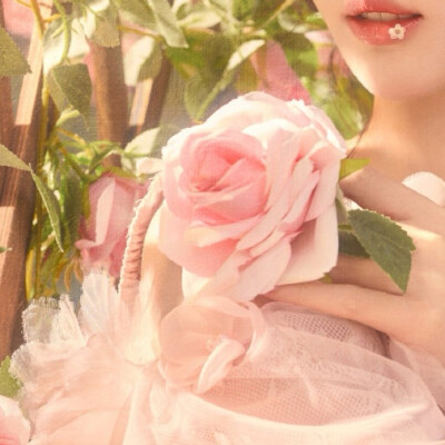 孔雪儿可二改
注星眠旷野