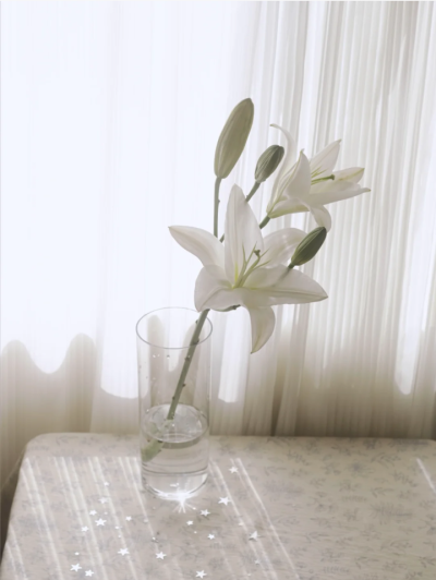百合花背景图