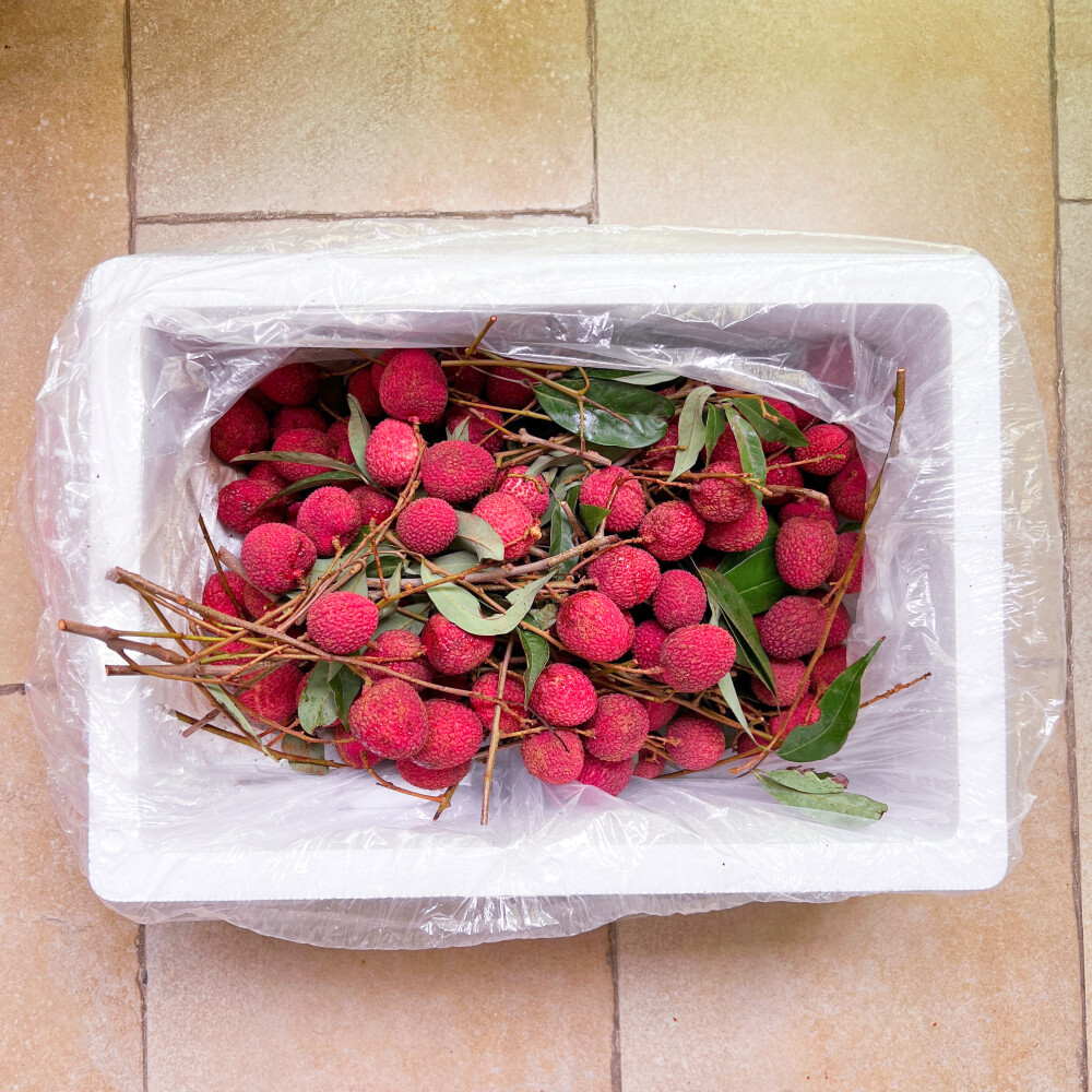 今年是荔枝大年，广东荔枝刚刚吃撑，朋友又寄来一箱莆田状元红。这个品种的颜色实在好看，荔枝味很浓。附上荔枝有效保鲜大法：新鲜荔枝用报纸包裹，保鲜袋装好扎紧密封放入冰箱4度左右冷藏，如果荔枝本身非常新鲜可以保鲜1个月，情况差一点也能保鲜10天以上。哦对了，存放之前千万不要用水清洗荔枝。新鲜的荔枝肉半透明，像果冻一样嫩，颜色发白的都是死掉有一会的了。怕上火的可以试试我的邪修路子：一次吃三颗会上火，一次吃三斤就不会了（不一定适用每一个人，实在上火就吃一点荔枝壳上的白膜，这个管用）