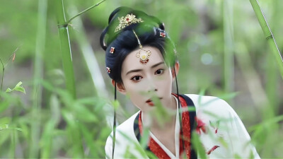 《桃花映江山》姜桃花（孟子义饰）