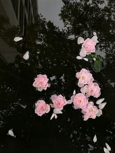 雨天背景图 暗调背景图