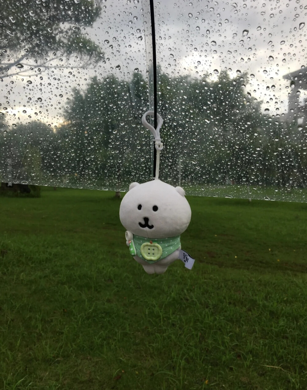雨天背景图 绿色系背景图