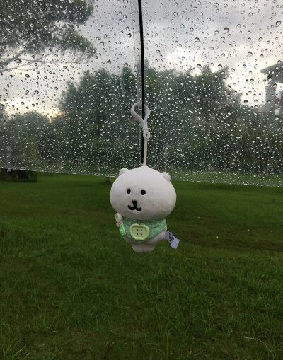 雨天背景图 绿色系背景图