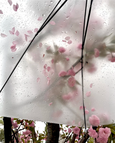 雨天背景图