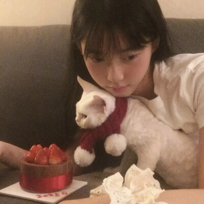 dt林宇婧
