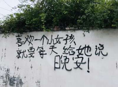 壁纸.