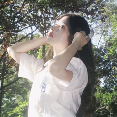 影子向玫瑰献忱落日与夕阳亲抚迟暮