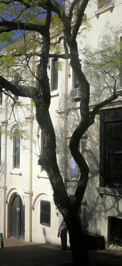 壁纸
