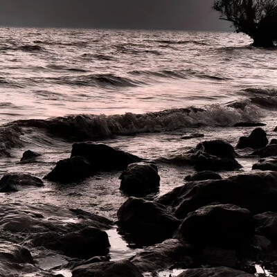 星眠旷野⬮ω⬮