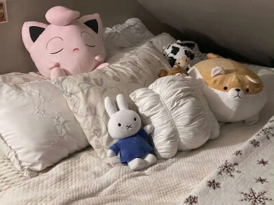 (⃔ *`꒳´ * )⃕↝ 
