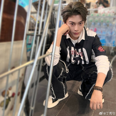 丁禹兮
