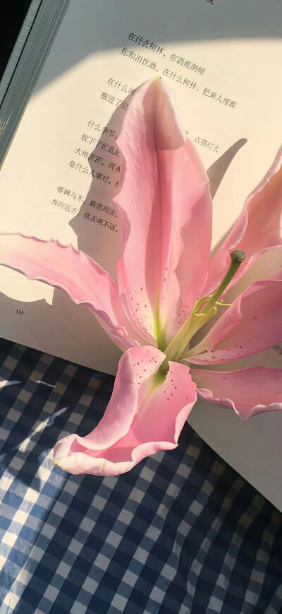 侵删