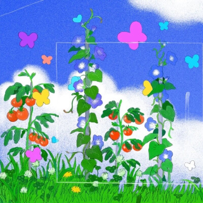 *･゜ﾟ･*:.｡..｡.:*･'(*ﾟ▽ﾟ*)'･*:.｡. .｡.:*･゜ﾟ･*