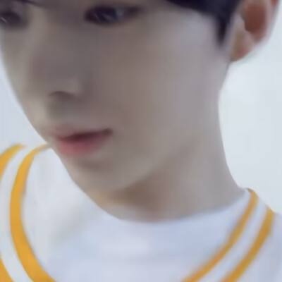 猫猫咪