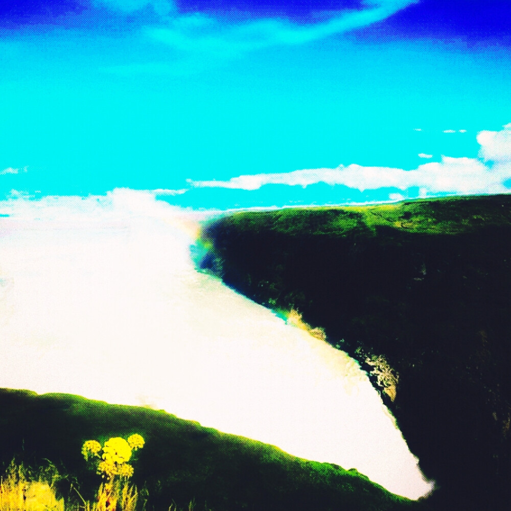 公主，你有梦想吗？