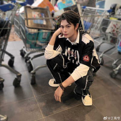 丁禹兮