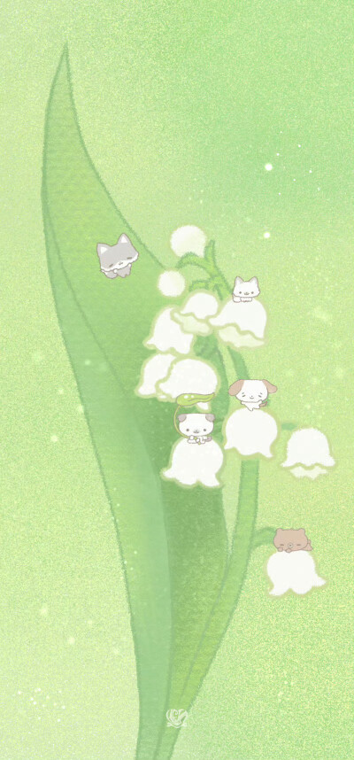 风铃草