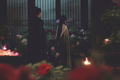 锦绣芳华–情若如霜 ​​​