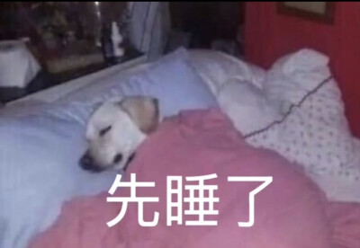 表情包